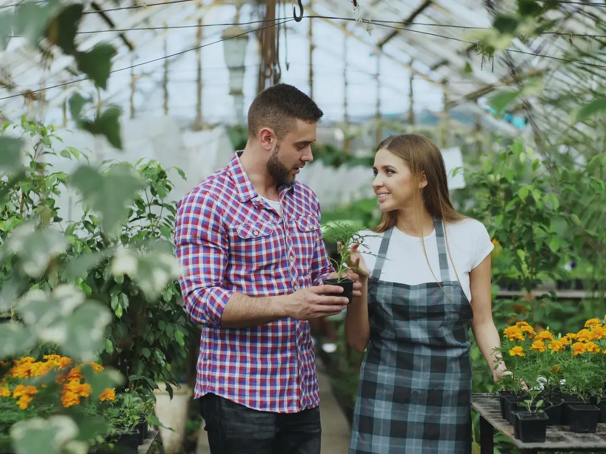 Plant care made easy