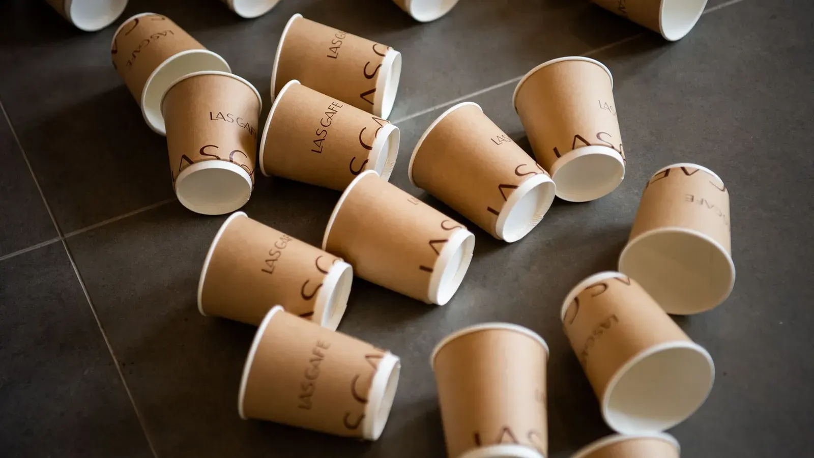 Compostable disposables, priced for wholesale