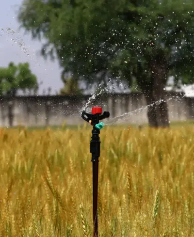 Irrigation