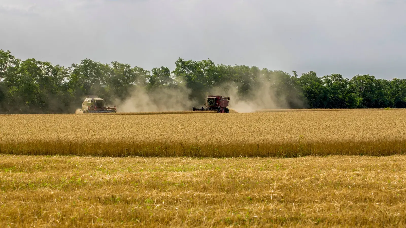 The right input for your soil