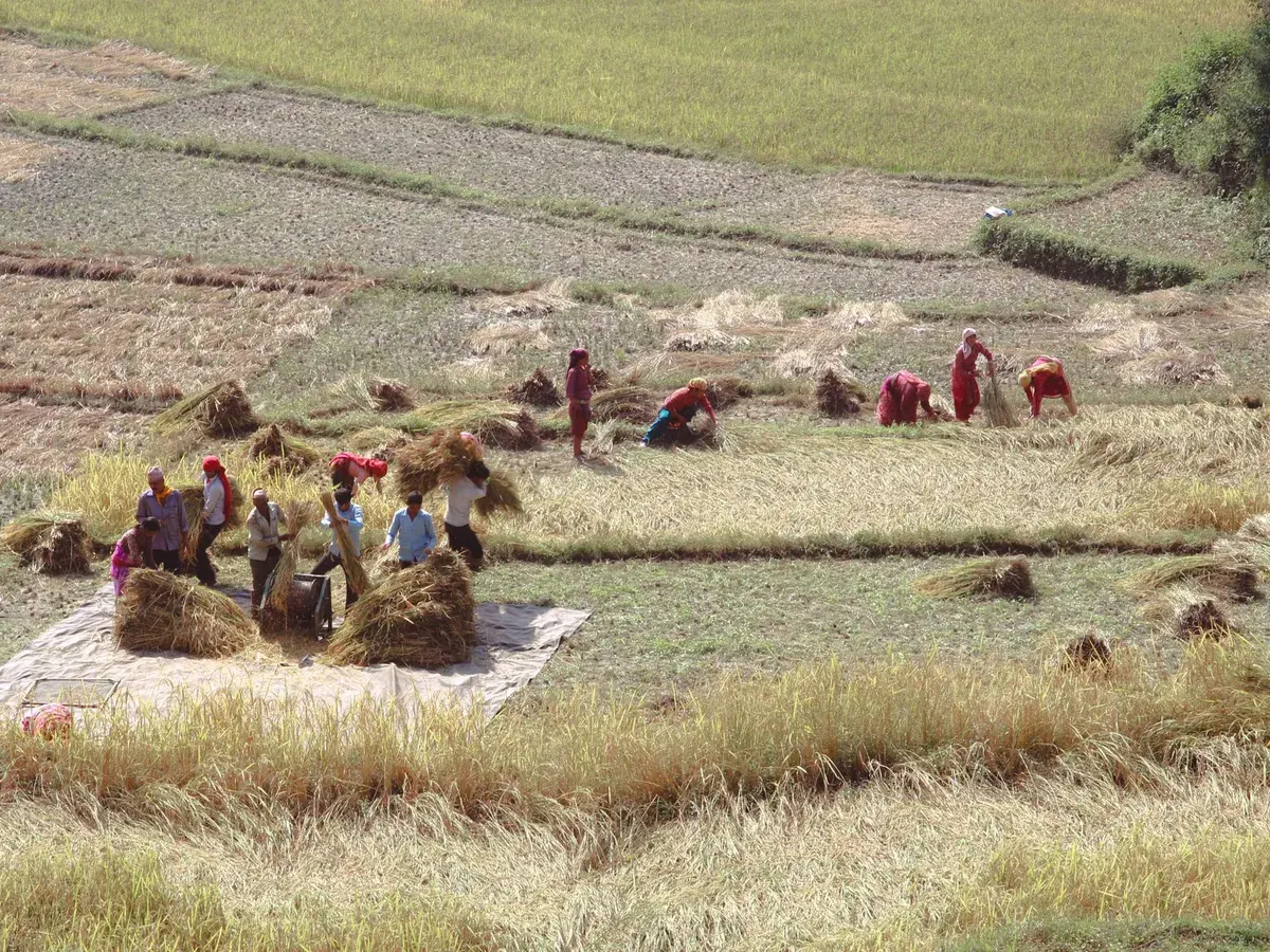 From The Field, To Your Godown, Without The Middlemen
